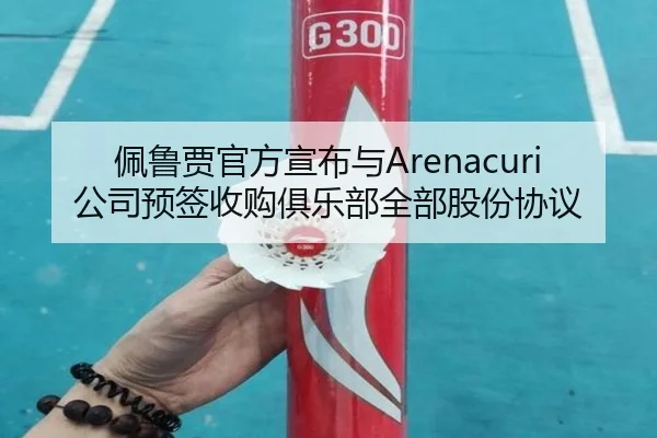 佩鲁贾官方宣布与Arenacuri公司预签收购俱乐部全部股份协议